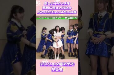 Juice＝Juice新メンバー林仁愛ちゃんとイッヌ