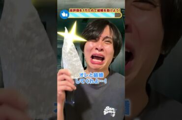 たこくんが結婚することになりました！#shorts #たこくん