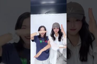 なにこれ#さわりの #夏休み編2025 #今日好き #08 #fyp