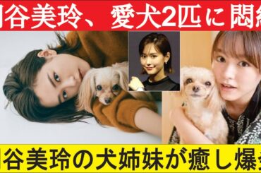 桐谷美玲、愛犬ぱとらの妹「こまち」をお披露目！ブラウンマールのトイプードルにファン悶絶