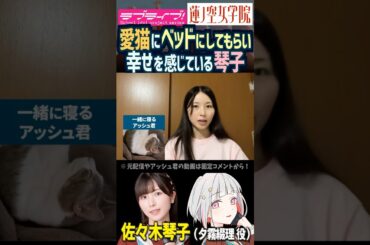 【蓮ノ空】愛猫にベッドにしてもらう幸せを語る佐々木琴子【Link! Like! ラブライブ!】#shorts リンクラ 乃木坂46 佐々木琴子 こっちゃん 夕霧綴理 声優 アッシュ君 ネコ