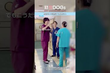 『#初恋DOGs』メイキング🎬撮影合間の隠し撮り📸 #成田凌 #なだぎ武 #野呂佳代