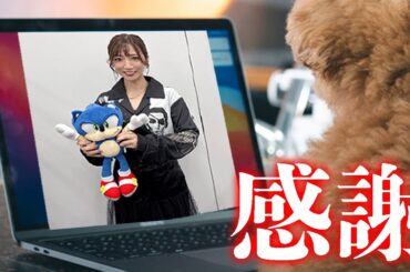 【雑談】また個人事業主になりました【退職】【感謝】