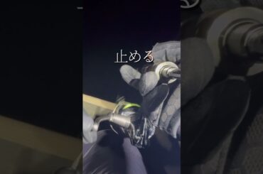 【岩手ていぼう日誌】#岩手 #釣り　（なるべく）毎週土曜日17時本編公開中