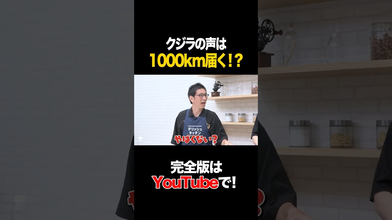 クジラの声は1000km届く!? #柴田英嗣 #タイムマシーン3号 #shorts クジラの声は1000km届く!? #柴田英嗣 #タイムマシーン3号 #shorts