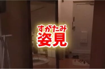 怖い話 【姿見】#ほん怖#霊#見える#恐怖#一人では見ないでください#今田美桜#葵わかな#怖い # 心霊