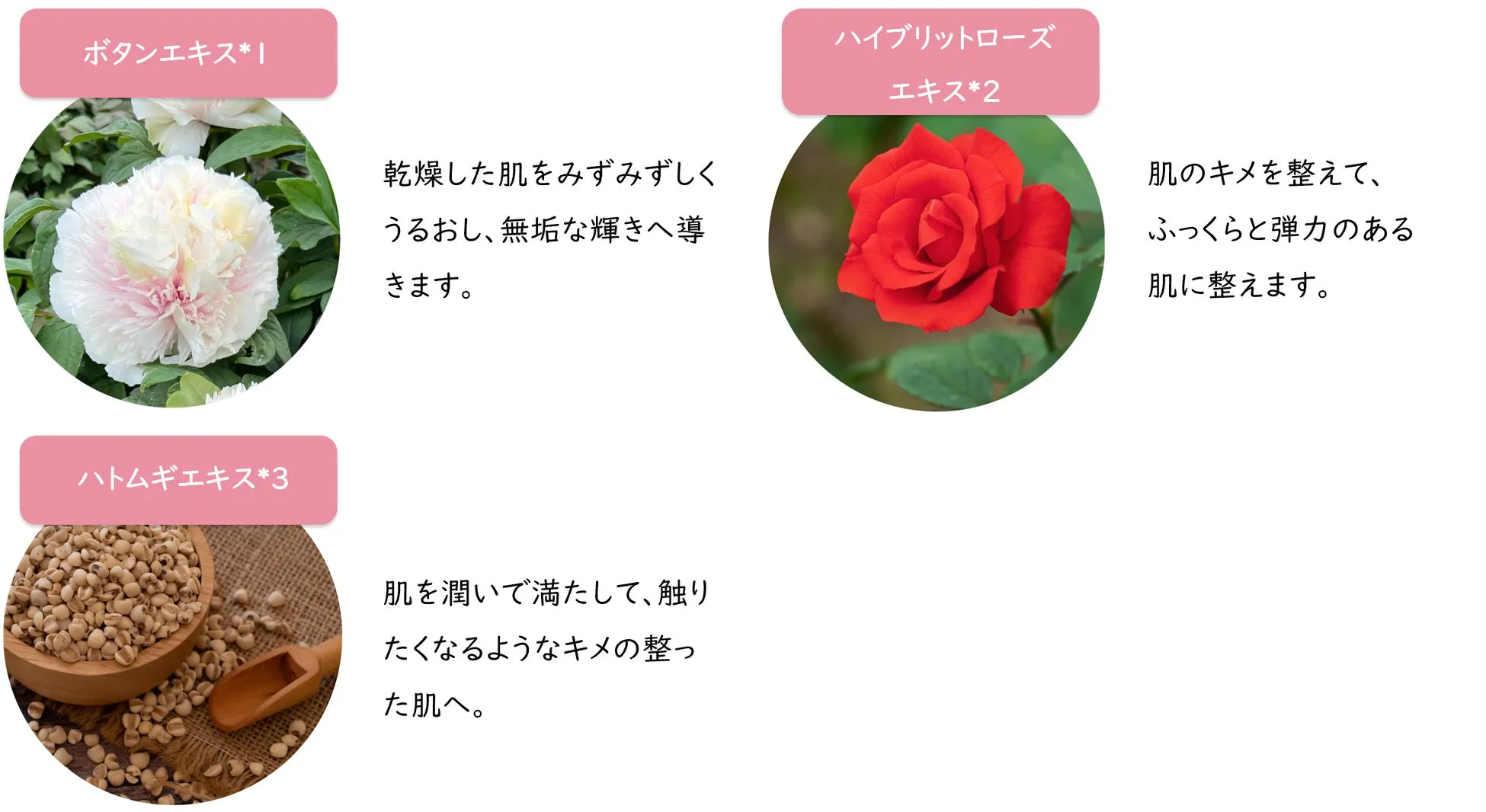 フェイスマスクの詳細