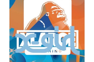 XLARGE、X-girl、SUMMER SONIC 2025がコラボレーションしたスペシャルTシャツ第2弾が東京会場で限定販売！ - NYLON JAPAN