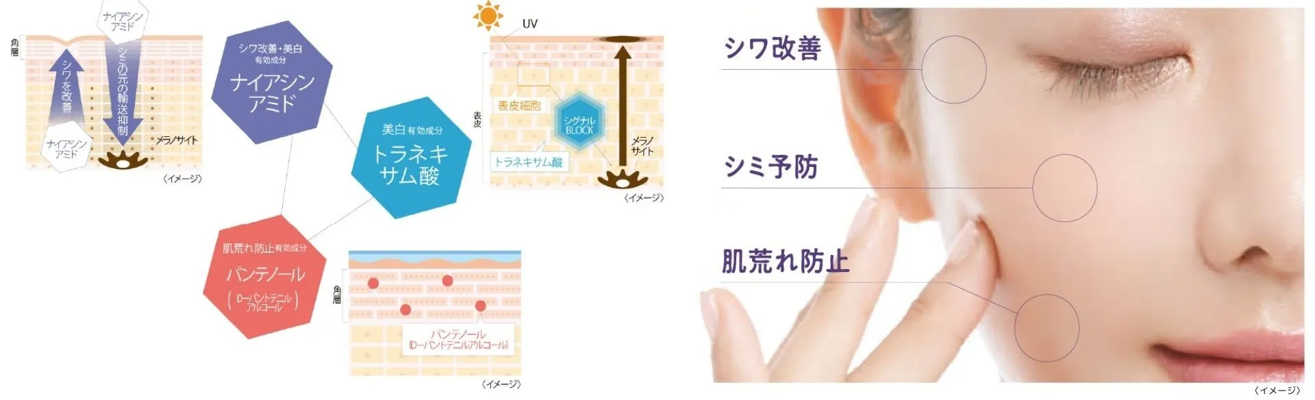 日本初！話題の有効成分トリプル処方