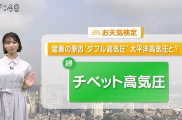 【画像】今日の今井春花さん　8.23