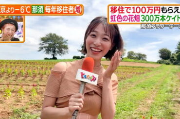 【画像】今日の今井春花さん　8.29