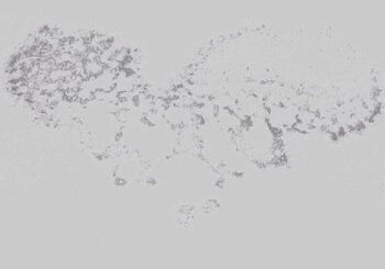 THE BOY、「SUPERNOVA」を配信開始｜THE MAGAZINE