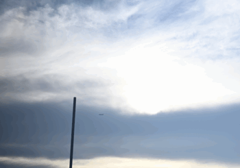 Sky Note、「Sakura in the Wind」を配信開始｜THE MAGAZINE