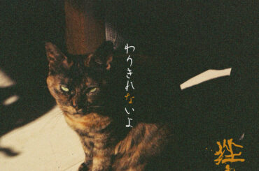 挫・人間、9月リリースのニューシングルから表題曲「わりきれないよ」先行配信｜THE MAGAZINE