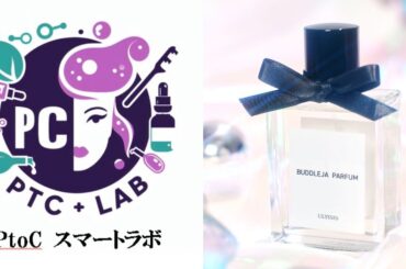 インフルエンサー向け「ブランド立ち上げサービス」が提供開始　化粧品の開発・製造から在庫管理・発送までワンストップで支援 - WWDJAPAN