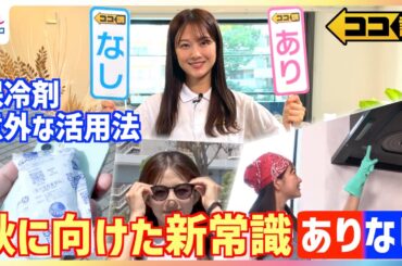 保冷剤の活用法にびっくり！残暑の疲労回復にサングラスは効果的？熱くなったスマホどうすればいい？換気扇掃除のベストタイミングは？“秋に向けた新常識”を原田葵アナが専門家に直撃取材【ココ調】