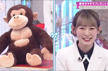 『櫻坂46』・そこ曲がったら、櫻坂？ 【増本キラキラプレゼントショー 小池へのプレゼントは「ゴリラのぬいぐるみ」】 2025.8.31