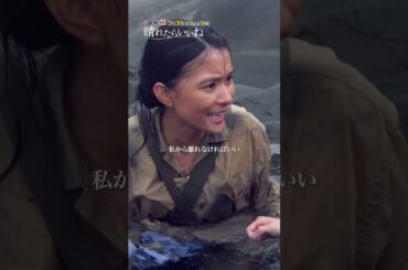 【一緒に渡ろう】「晴れたらいいね」3月30日（日）よる9時放送