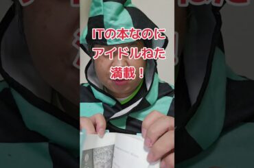 ITの本なのにアイドルねた満載！#松井玲奈 #SKE48 #AKB48 #SEO #アイドル