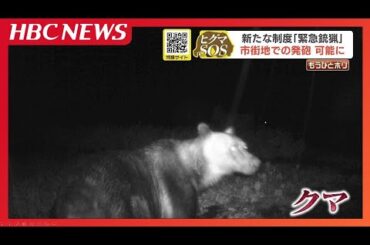 【ヒグマSOS】9月1日から「緊急銃猟」制度スタート　ヒグマ出没で市街地での猟銃発砲が可能に　  一方で、ハンターからは不安や葛藤の声も