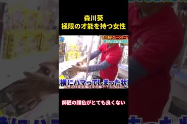 並外れた才能を持つ女性、森川葵 #music #お笑い #面白集 #千鳥 #面白い #森川葵