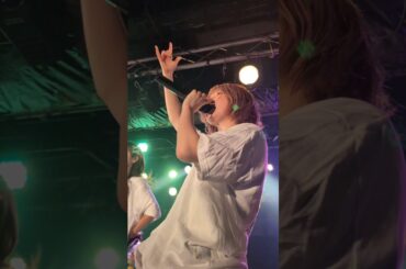 豆柴のハナちゃん #推しカメラ #ライブ #今日の推しメン #アイドル