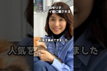 石田ゆり子の“エビフライ猫”に癒される　#shorts #石田ゆり子 #猫のいる暮らし #バンビ #エビフライ猫