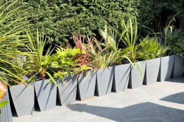 英国ランカシャーの毎年恒例のトロピカルガーデンツアー