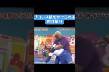 【乃木坂】プロレス技をかけられる向井葉月 #乃木坂46 #井上和 #向井葉月