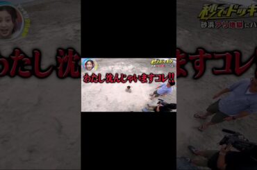 砂浜アリ地君にハマる 2 #ドッキリ #ドッキリGP #shorts