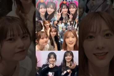 向井純葉 田村保乃 ほのちゃんを見つめるいとちゃんの可愛い表情♩♩ほのいと 櫻坂46