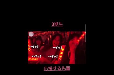 櫻坂3期生LIVE大阪城ホールにて応援する先輩　　#shorts