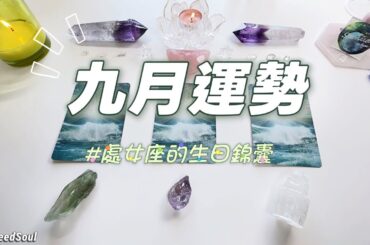 🤍塔羅占卜| 九月運勢+ ♍️處女座的生日錦囊