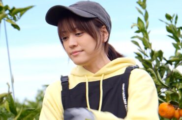 杉本琢弥、福田沙紀、坂ノ上茜ら出演　熊本が舞台の青春ムービー　映画「熊本の彼氏」劇場本予告編