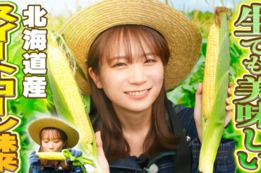 秋元真夏が北海道へ！まるでフルーツのようにとってもあま〜いトウモロコシ「スイートコーン味来」を収穫！！