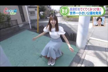 (再掲)【静岡・長泉町】世界一小さな公園に驚く白木愛奈アナ