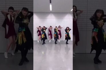 Perfume tiktok 20250903 babymetalと巡ループ