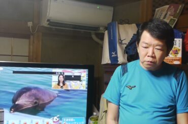 明智実(光秀嫡流)が作詞歌唱した。帰りたくなったよ。いきものがかり５０万ＤＬ。レコード大賞を４９曲取った！。ご登録よろしくお願いします。