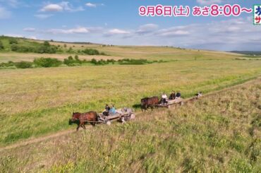 ゲストの旅は佐々木蔵之介！ロコレコは大友花恋！「旅サラダ」9月6日（土）放送