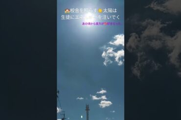 #校舎#世界中の誰よりきっと#中山美穂#wands#主題歌#懐メロ#ショート#無言ねこ