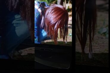 私の夫と結婚しての名場面