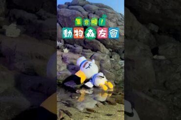 🌴現實版動物森友會🦉【橫濱八景島】沈浸式一日體驗 貓頭鷹博士講解海洋生物和標本 一日兩次釣魚大賽 動森主題海豚表演🐬