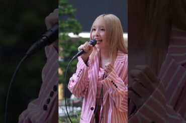 MIKA（一ノ瀬みか）シャングリラ ＃チャットモンキー＃cover＃MIKA＃一ノ瀬みか#アーティスト＃公認路上ライブ#歌うま ＃可愛い歌声＃可愛い#sibuyaopenlive＃もっちゃん