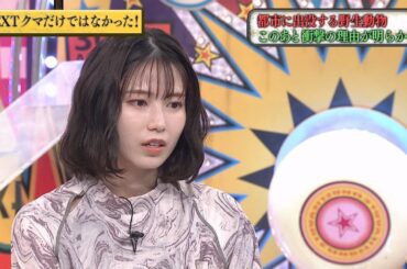 【横山由依】「奇跡体験！アンビリバボー」2025.09.03