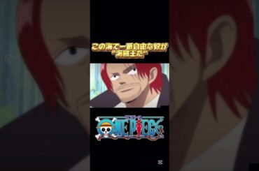 レイリーさんにもロジャー船長と同じ気質が見れたのいいですね#ワンピース #onepiece #ワンピース面白いシーン #ワンピース感動シーン  #ワンピース名言集