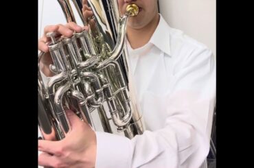 逢田梨香子「透明な装飾」ユーフォニアムで吹いてみた　#逢田梨香子#透明な装飾#4thEP装飾