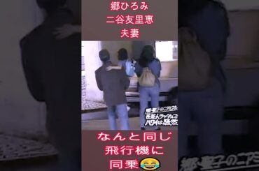 聖子夫婦ハワイ帰省🐶まさかの郷ひろみ 夫妻とバッティング！😂 #松田聖子 #神田正輝  #ハワイ