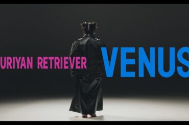 YURIYAN RETRIEVER - 『Venus』Music Video