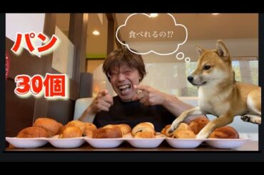 【柴犬飼い主55歳】パン30個食べたら…店員さんに心配されるのか!?【朝食ココス限界チャレンジ】