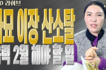 파묘 이장 산소탈 음력 2월 해야 할 일 - 대전점집 용한무당 점집추천 점집후기 명화당 처녀보살